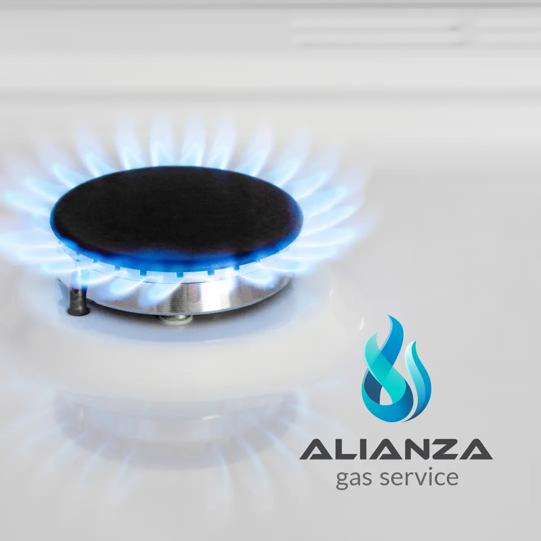 Alianza Gas Service